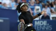 Venus Williams